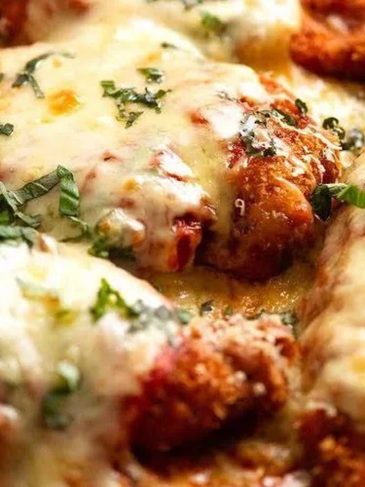 Baked chicken parmesan cutlets with melted mozzarella, tomato sauce and fresh basil in a baking dish